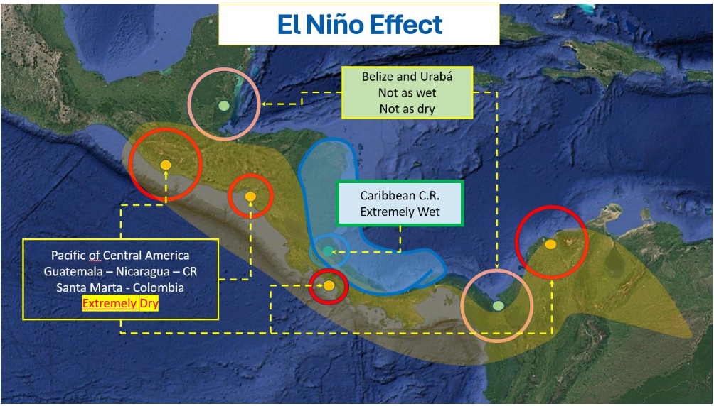 El Niño effect map and banana production impact