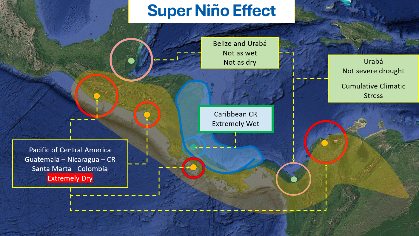 Super Niño sea surface temperature and climate outlook visual